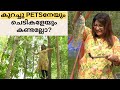 ഹരിത ബയോ പാർക്കിലെ മനോഹരമായ കാഴ്ചകൾ  || Pets || Fruit Trees || Aquarium || Fishing || Private Forest