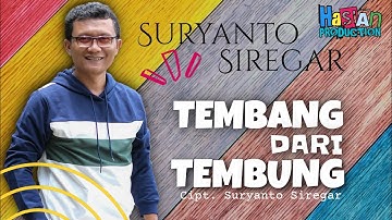TEMBANG DARI TEMBUNG | SURYANTO SIREGAR | Lagu Spesial Untuk Anak Medan