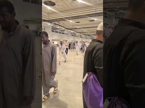 مالي سوى ذلي إليك وسيلة