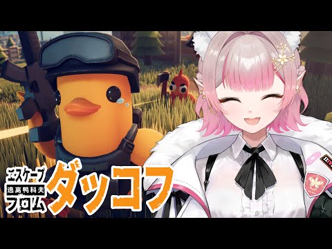 【エスケープ フロム ダッコフ】可愛いアヒルさんと一緒に🐥【にじさんじ/える】 video thumb