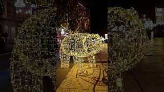 OVIEDO EN NAVIDAD #oviedo #asturias #navidad #gratis