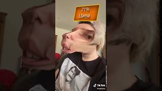 RUBIUS TIKTOK