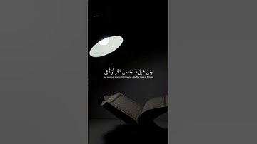 آيات من سورة غافر #القرآن_الكريم #quran #islam