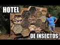 El Mejor Hotel de Insectos Que Has Visto Nunca  🦗🐞🕷🦋