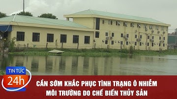 Cần sớm khắc phục tình trạng ô nhiễm môi trường do chế biến thủy sản | TIN TỨC 24H