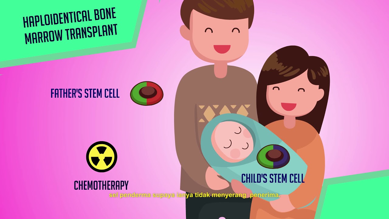 Haploidentical bone marrow transplant (Bubble Boy)