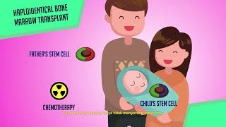 Haploidentical Bone Marrow Transplant Bubble Boy
