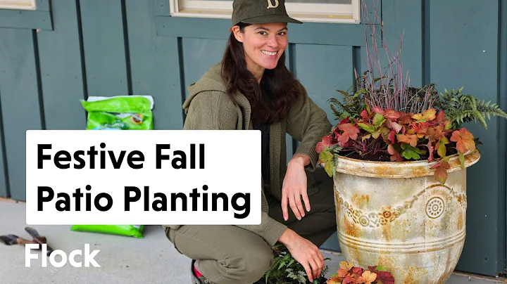 Planting METAL URNS with FALL FESTIVE COLOR at the MEADOW HOUSE — Ep. 126 - DayDayNews