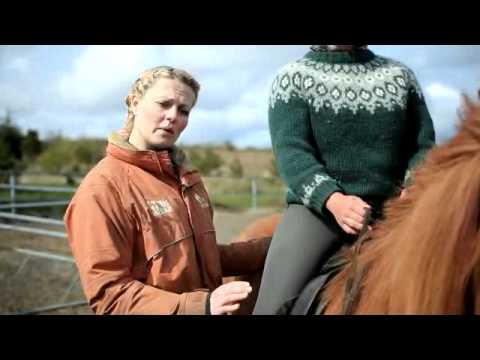 Íshestar - How to ride an Icelandic horse?