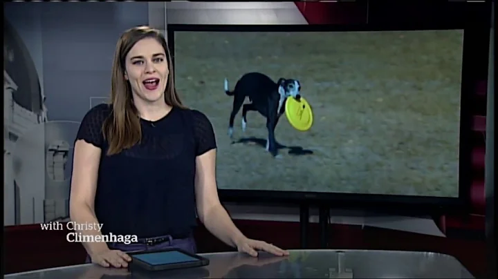 Rob McLeod and Davy Whippet Break Canine MTA World Record - CBC Regina