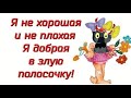 ✔️Девчонки! Помните, что ПИНГВИНЫ - это ласточки, которые ели после 18-00! Анекдоты с Волком