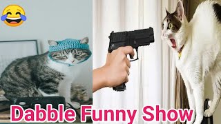 Try not to laugh funniest cats and dogs 2024 | Funny Animal fails 2024 #funnycats #funnydogs #memes