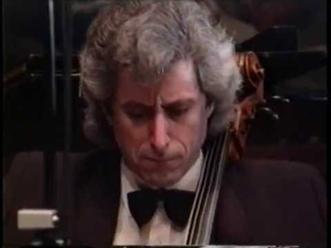 Brahms - Piano Quartet in c minor, Op. 60 (3rd Mvt.)