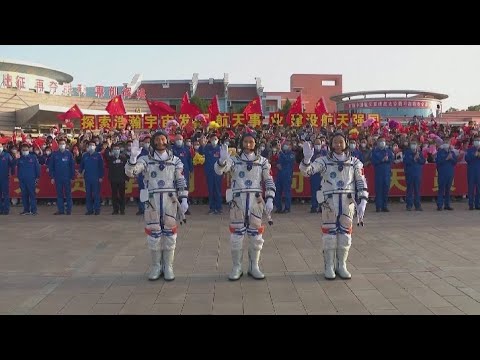 Video: Уруктан жапон клендерин өстүрүү - Жапон кленинин уруктарын кантип өстүрүү керек