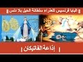 ||| البابا فرنسيس للعذراء سلطانة الحبل بلا دنس ||