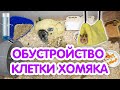 Как обустроить клетку для сирийского и джунгарского хомяка? Что должно быть в клетке