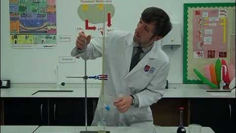 Core Practical: Finding the vitamin C content of a food