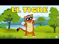 Características del Tigre para Niños 🐯 - El Tigre es Mas GRANDE que el Leon 😱