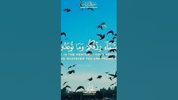 تلاوة خاشعة و بصوت اكثر من رائع الشيخ سعود الشريم