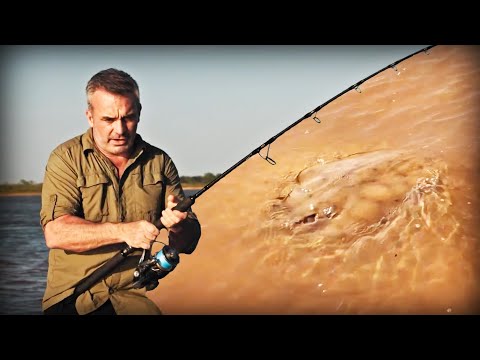 SON CAMOUFLAGE EST SURNATUREL - Cyril Chauquet