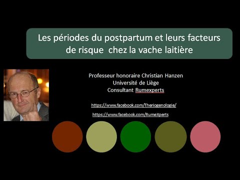 Vidéo: Influence De L'ordre De Naissance, Du Poids à La Naissance, Du Colostrum Et Des Immunoglobulines Sériques G Sur La Survie Des Porcelets Nouveau-nés