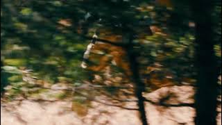 The BATTLEGROUNDS The movie ¦¦PUBG¦¦ (official fake trailer )