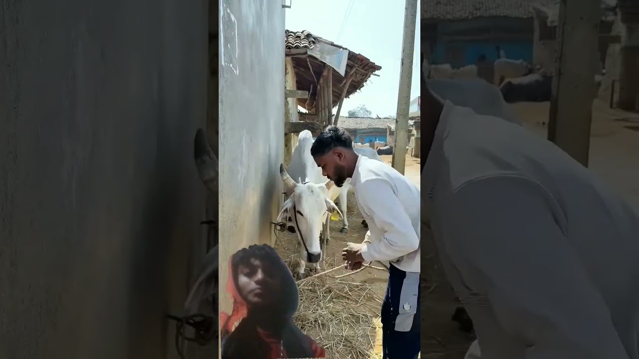 Cool Gadgets!😍Smart Appliances, New Gadgets, Kitchen Gadgets, Home Inventions 🙏 