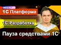 1С:Разработка - Пауза средствами 1С