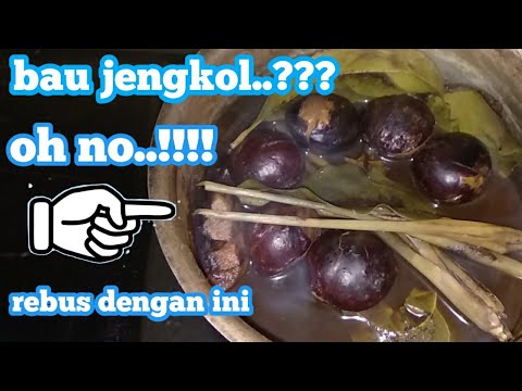Setelah video Semur Jengkol No Bau, kali ini saya membagikan resep cara merebus jengkol no bau aga. 