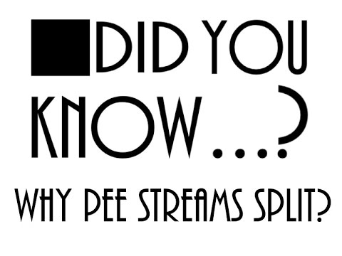 Split Stream Pee
