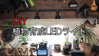 【DIY】アガベ用に植物育成LEDライトを取付けてみた！