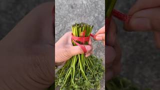 Simple vegetable knotting techniques #technique #interesting #climbing #knot #knottying