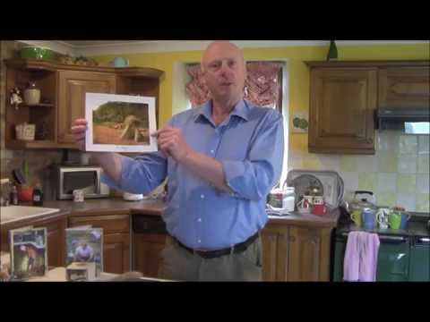What is the difference between FLAX & LINSEED