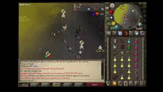 Runewild #2
