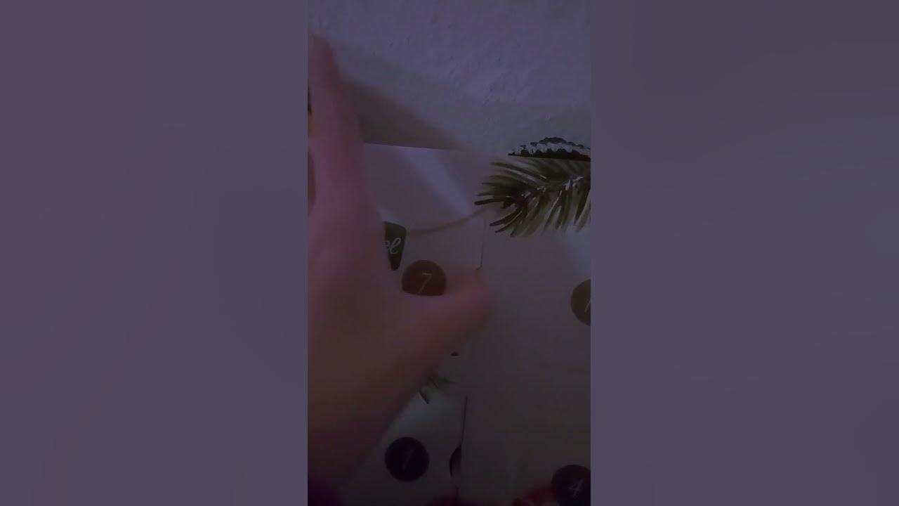 #новыйгод #адвент_календарь #юмор #приколы #прикол - YouTube