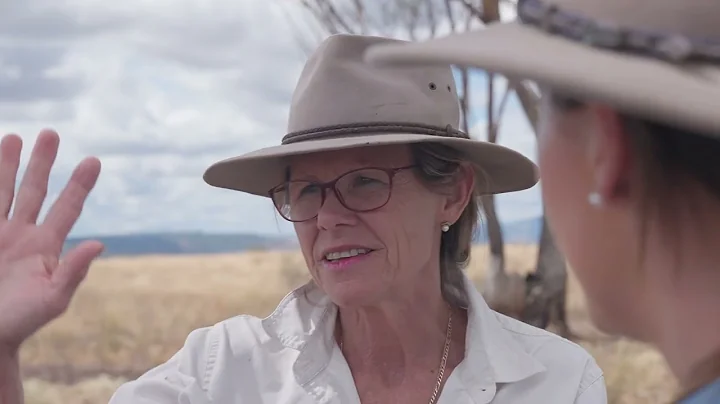 Control feral pigs to increase livestock production