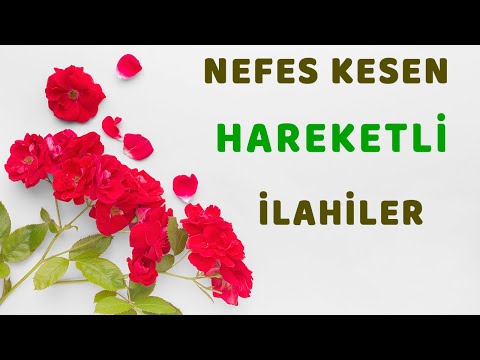 🧡NEFES KESEN HAREKETLİ İLAHİLER🧡 - Coşturan İlahiler