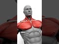 No Gym Chest &amp; Triceps Workout (Dumbbells Only)