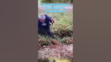 Crush the Heat How the Right Tools Revolutionize Chili Pepper Eradication