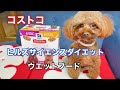 コストコで購入した【ヒルズ・サイエンス・ダイエット・ウエットトレイバラエティパック】を愛犬に与えてみた【トイプードルのサラ】Hills Science Diet Wet Food