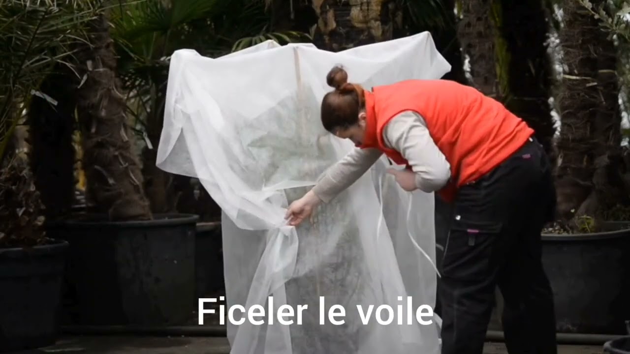 Guide pour choisir et installer le voile d'hivernage idéal