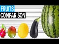 Fruit size comparison  biggest fruits