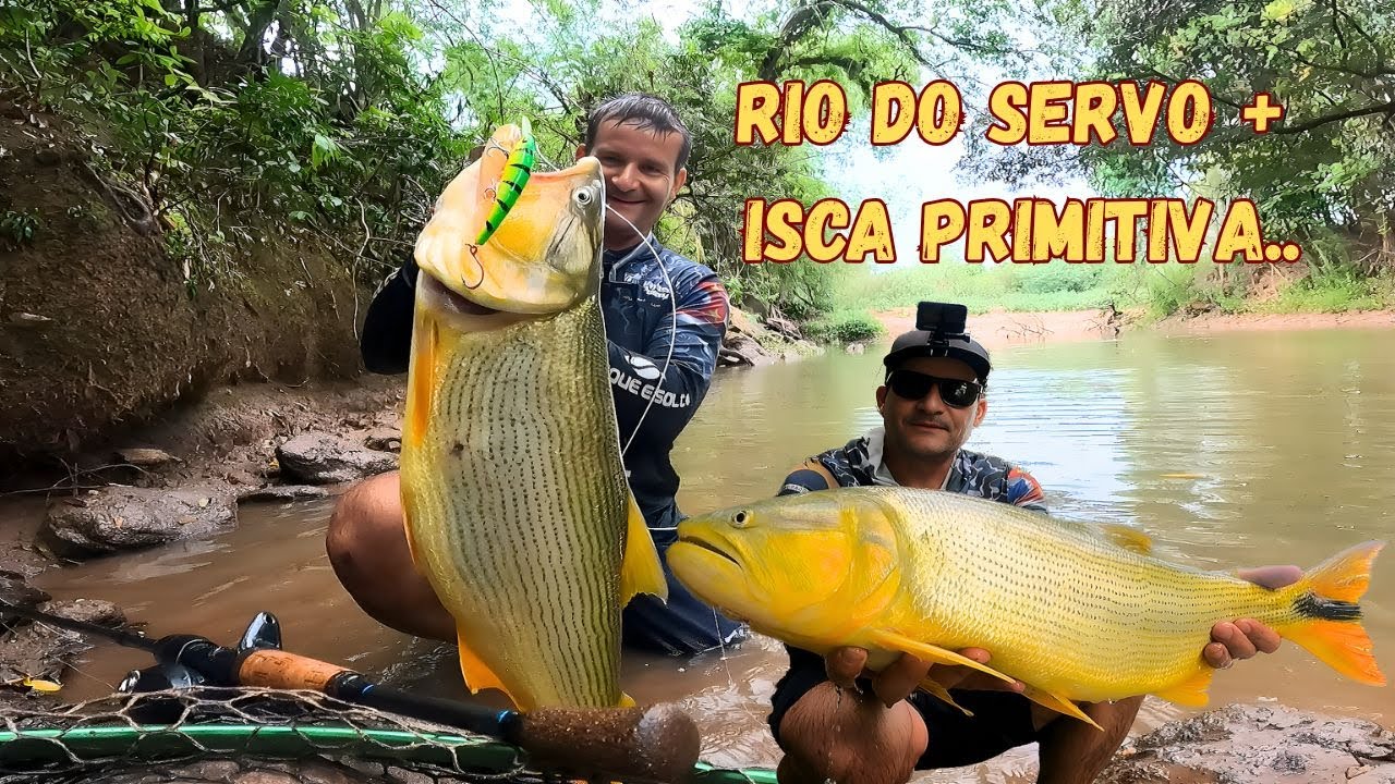 ESSE RIO é Pequeno Mas Os DOURADOS São GIGANTES (Rio do Cervo)