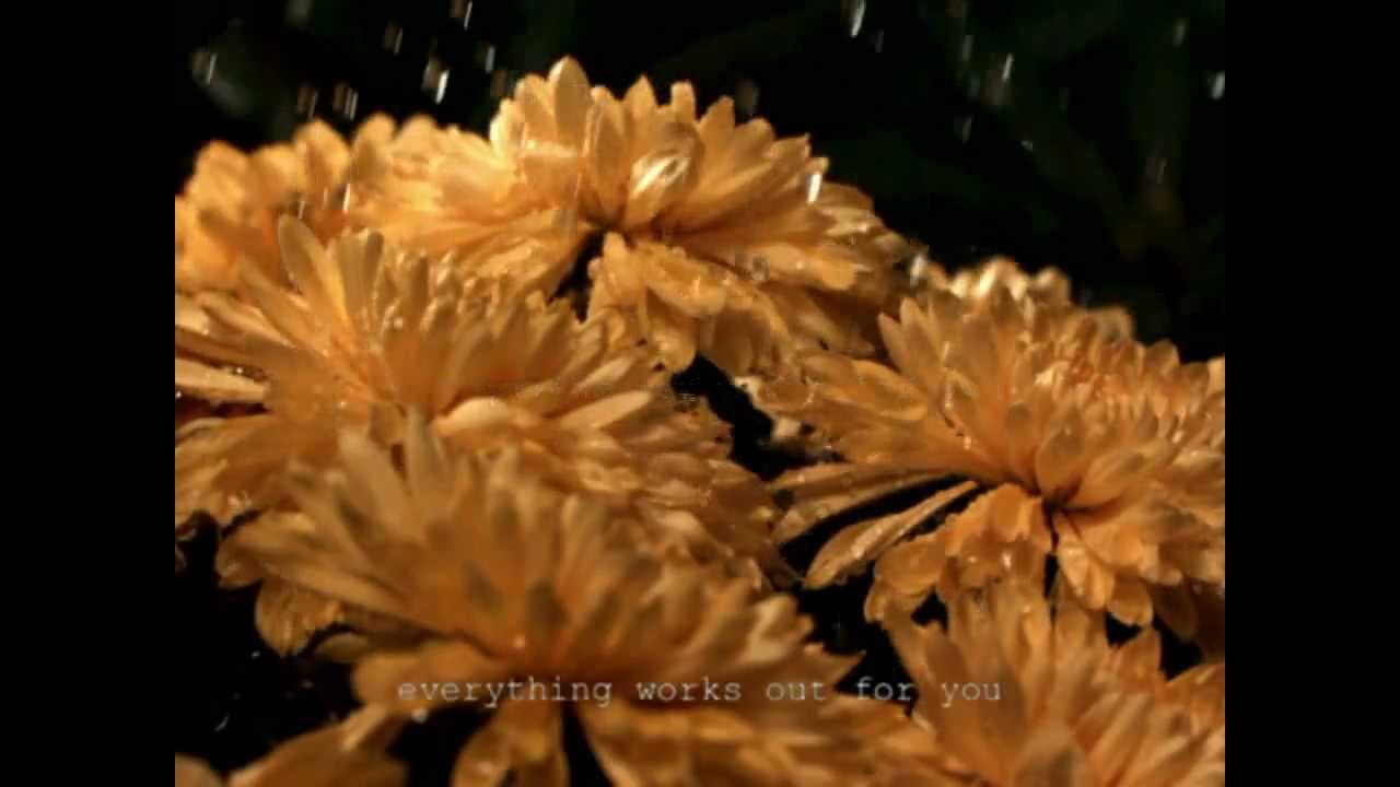 developmental Stress Relief - Subliminal Visualization Video & Manifestation Movie