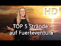 TOP 5: Wo sind die schönsten Strände auf Fuerteventura?