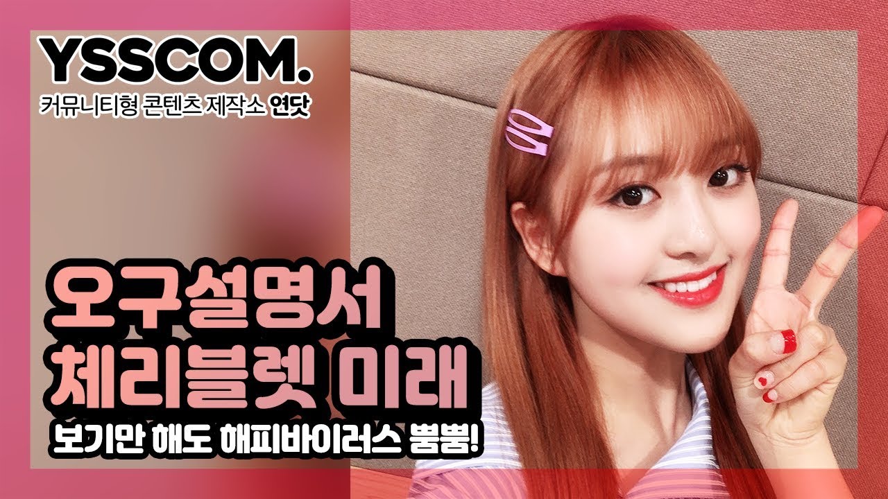 [오구설명서] 보기만해도 해피바이러스 뿜뿜! | 체리블렛(CherryBullet) 미래