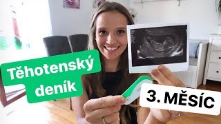 TĚHOTENSKÝ DENÍK - 3. MĚSÍC | těhotenství prozrazeno | mám průkazku | Mimi&já