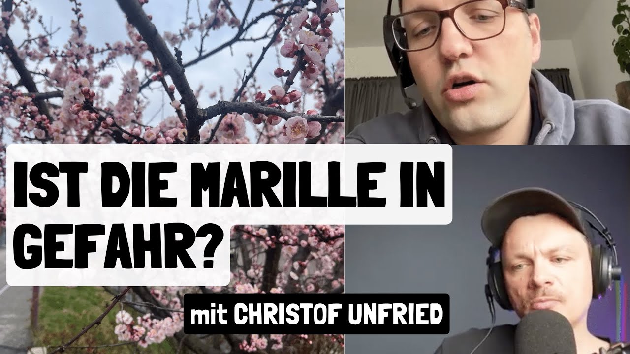 Max Unfried B2P Interview | Ist die Marille in Gefahr? - Obstbauer Christof Unfried ...