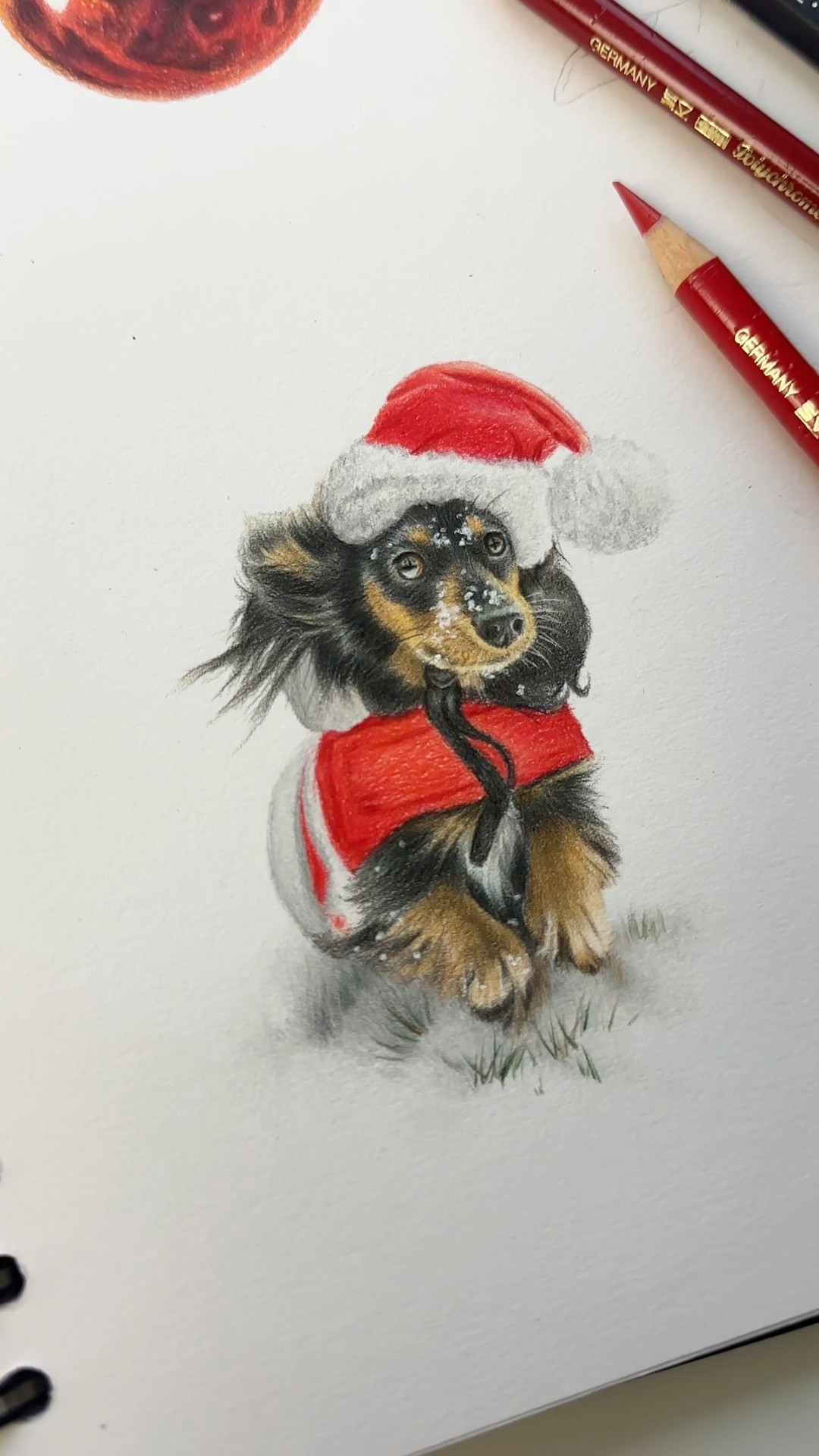 アート・デザイン・音楽 Samozveri: Selbst gemachte Tiere YouTube