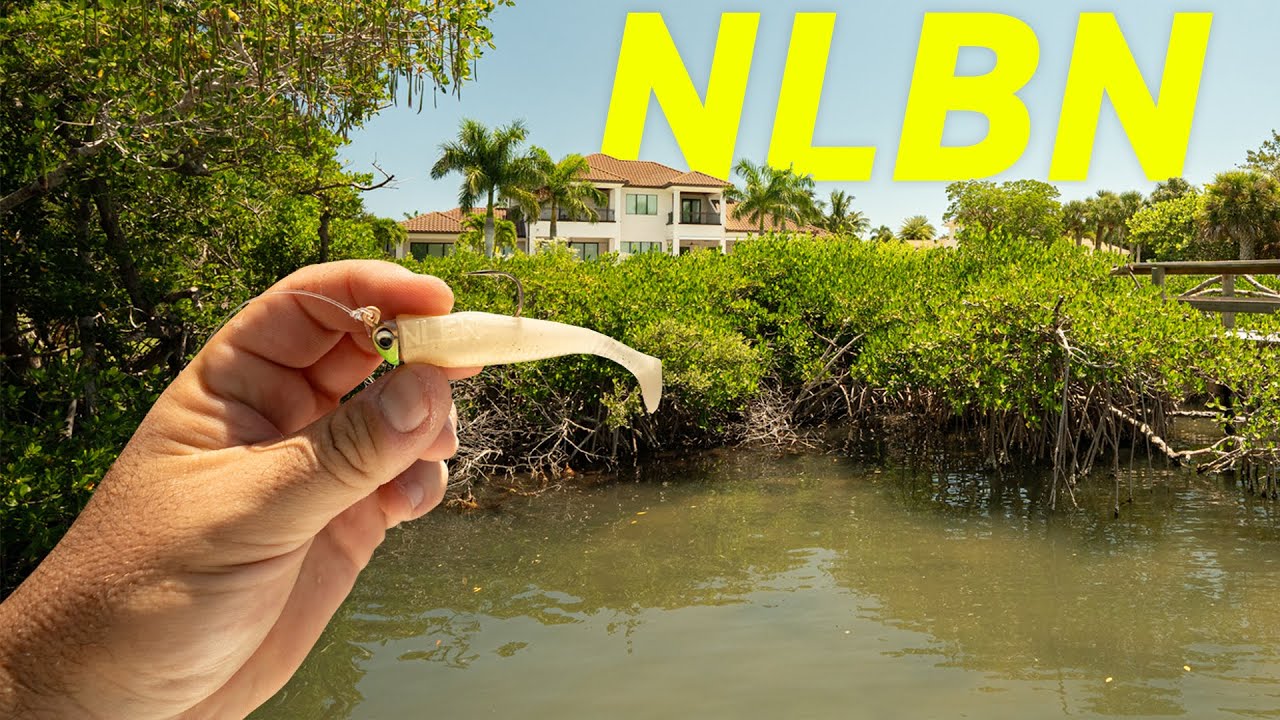 NLBN 3" Fishing Under Florida Docks and Mangroves! Snook and Redfish